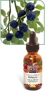 Bilberry Liquid Extract